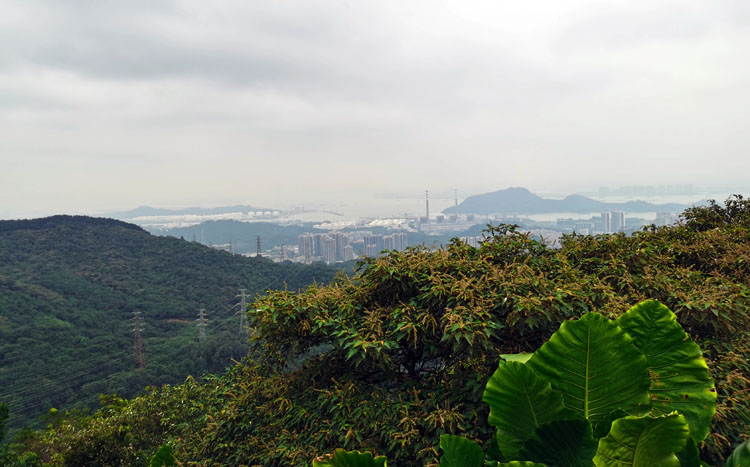 激扬青春、奋勇攀登登山活动
